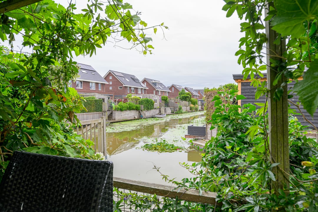 Foto 2 van Citroengras 11