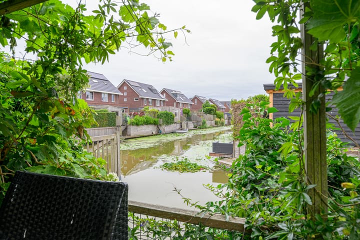 Foto 2 van Citroengras 11