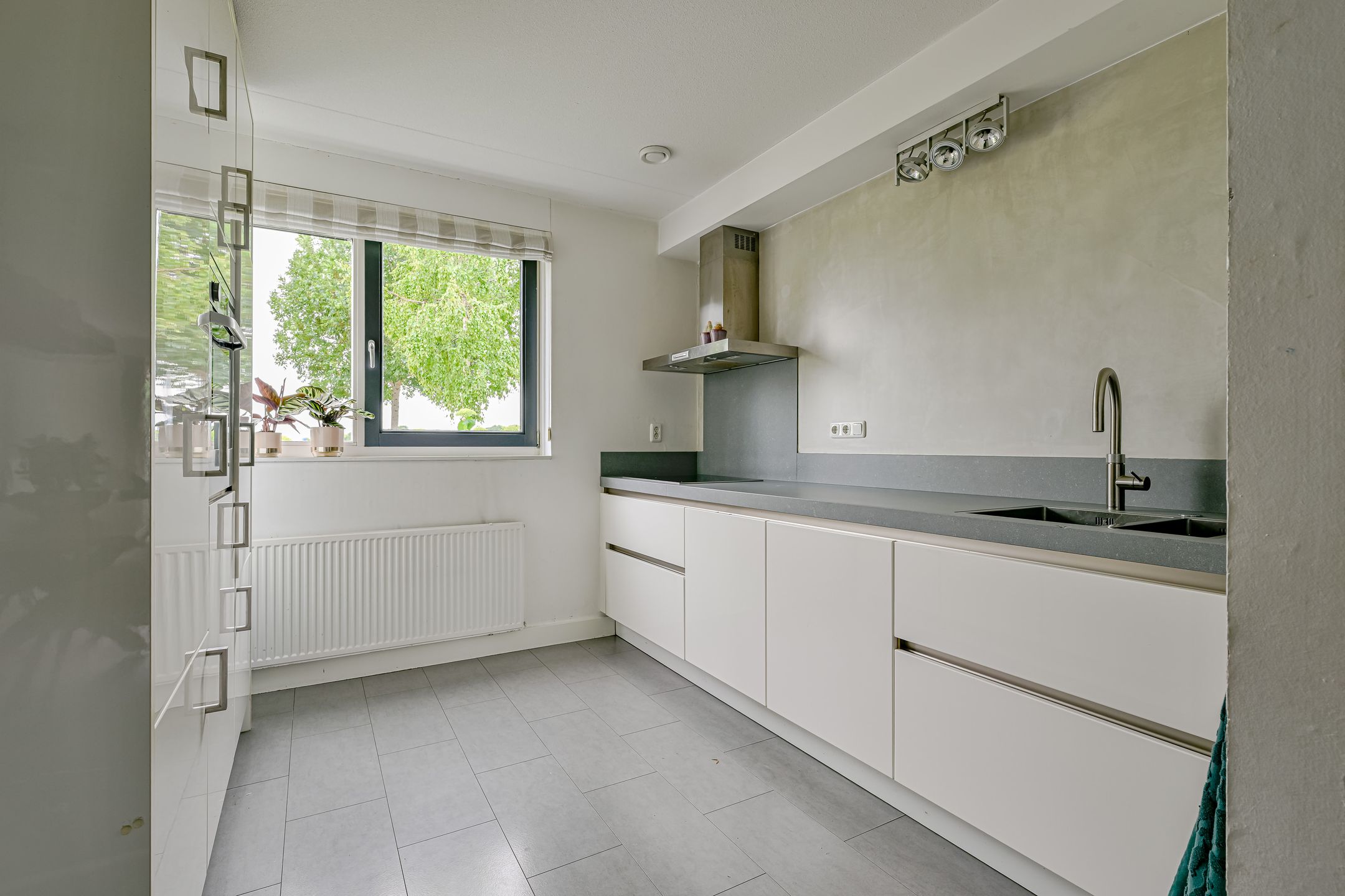 Foto 9 van Citroengras 11