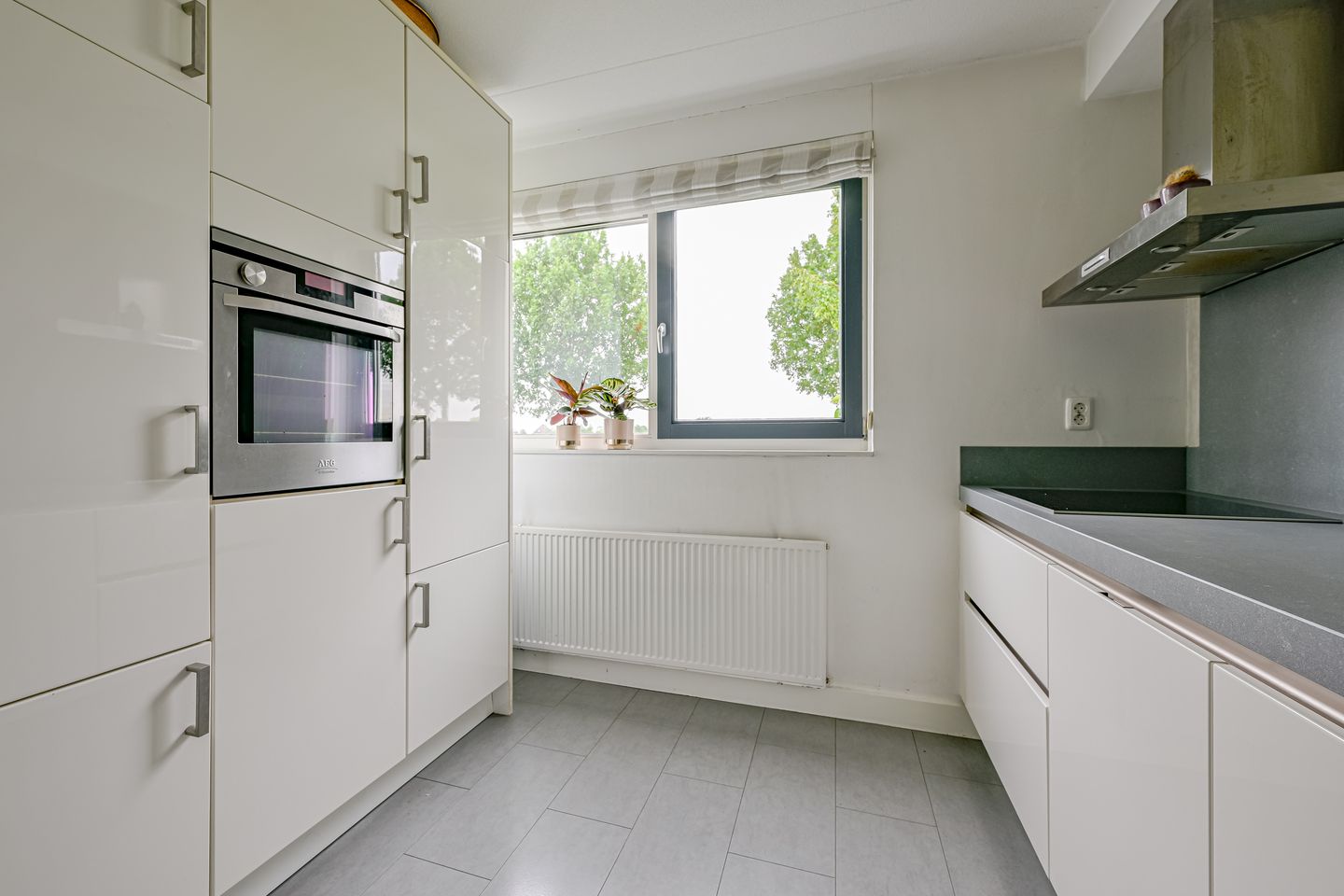 Foto 10 van Citroengras 11