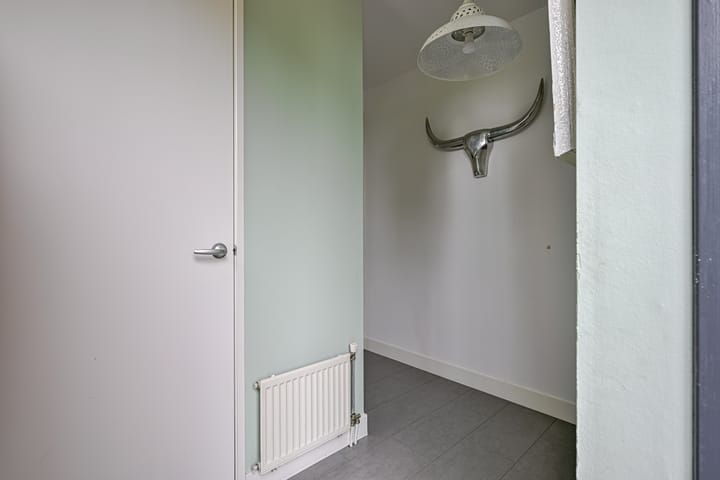 Foto 12 van Citroengras 11