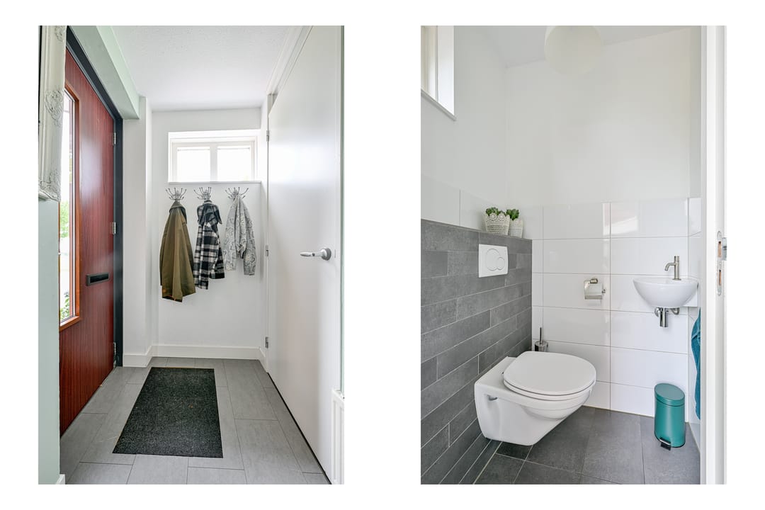 Foto 13 van Citroengras 11