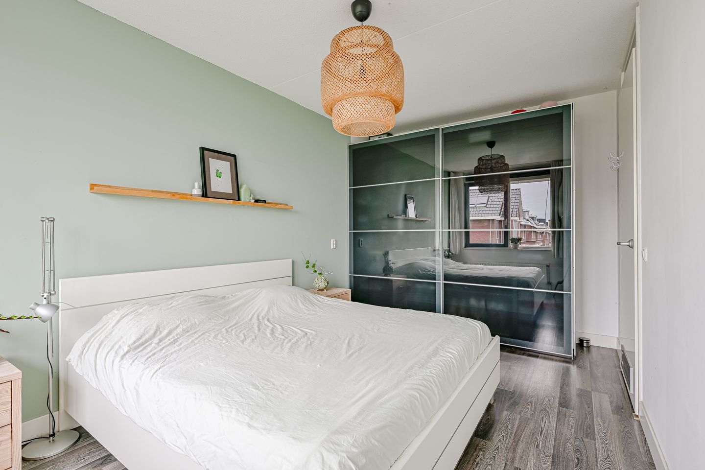 Foto 14 van Citroengras 11