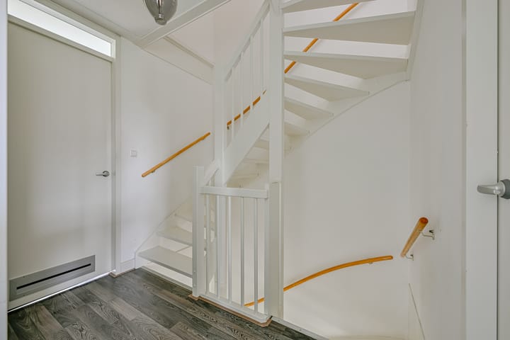 Foto 20 van Citroengras 11