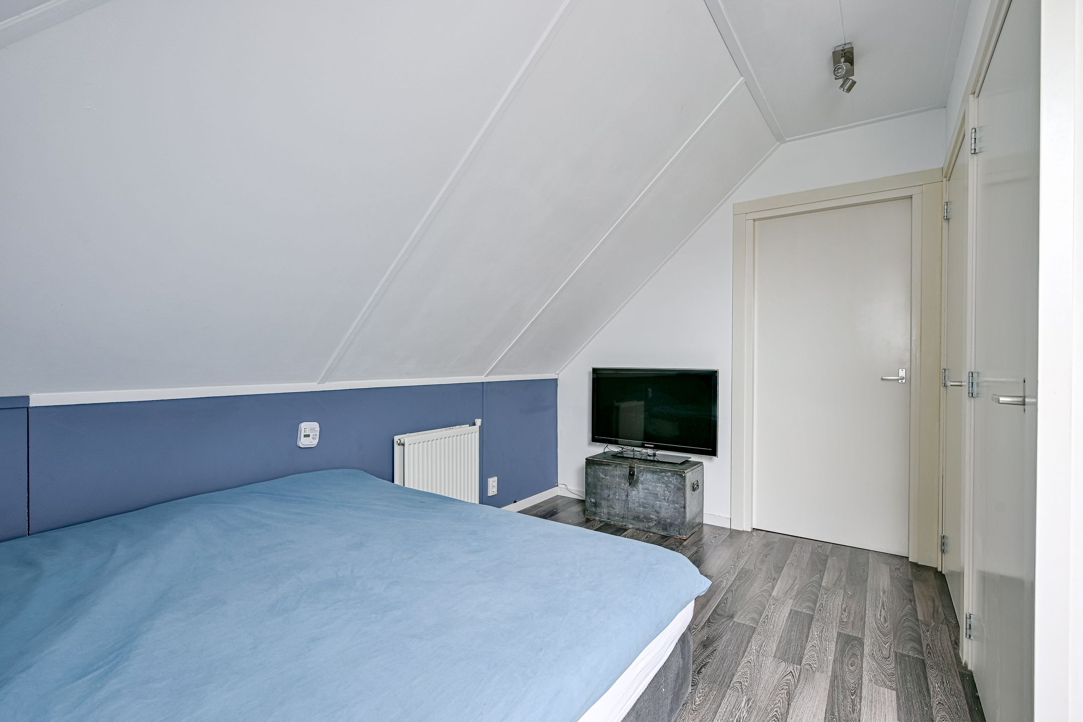 Foto 21 van Citroengras 11