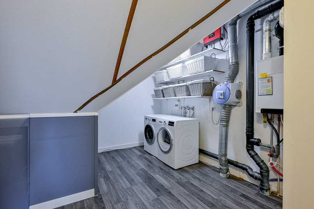 Foto 23 van Citroengras 11