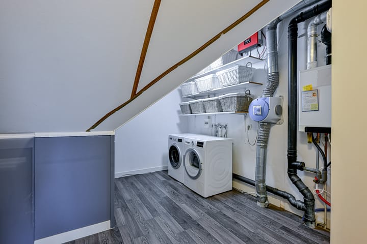 Foto 23 van Citroengras 11