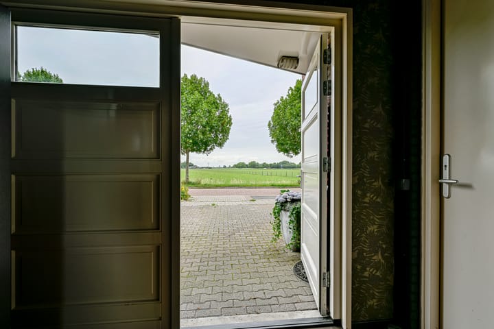 Foto 25 van Citroengras 11