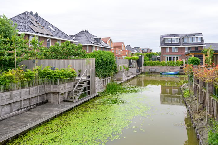 Foto 27 van Citroengras 11