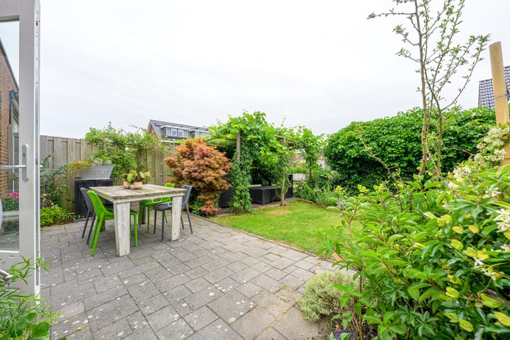 Foto 28 van Citroengras 11