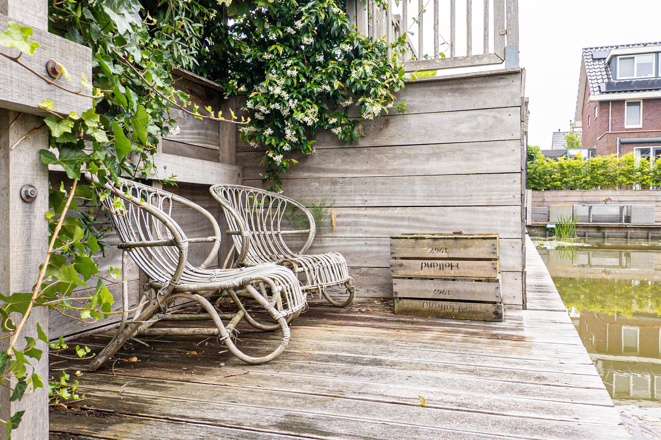 Foto 30 van Citroengras 11