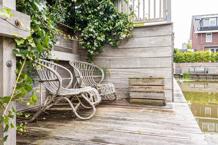 Foto 30 van Citroengras 11