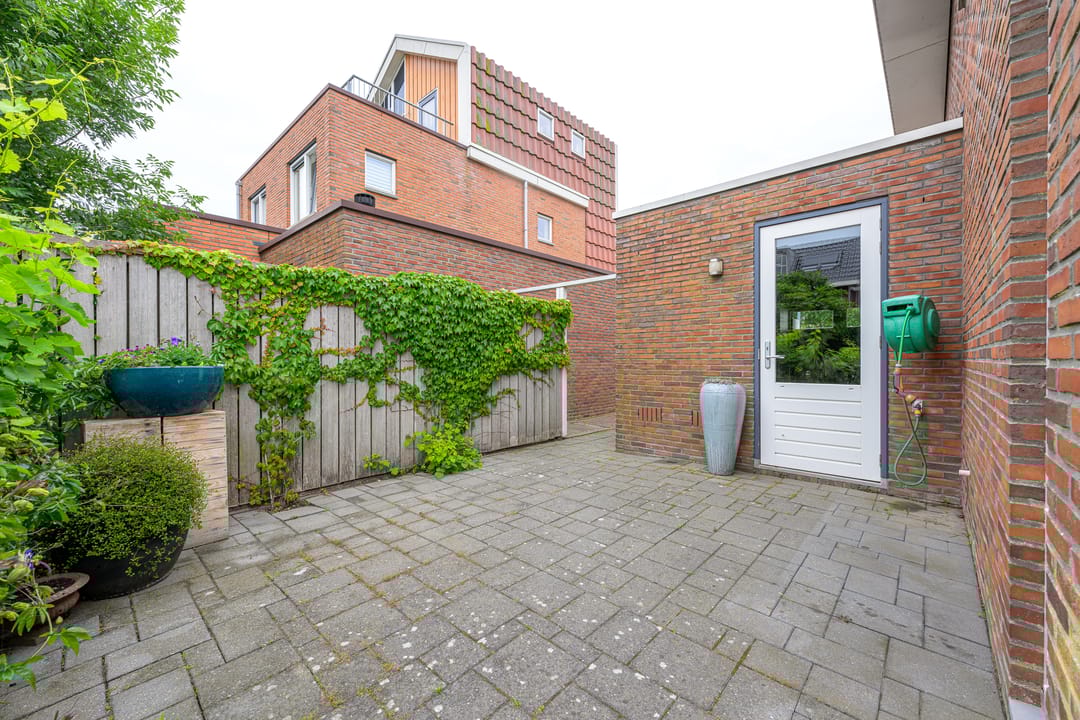 Foto 31 van Citroengras 11