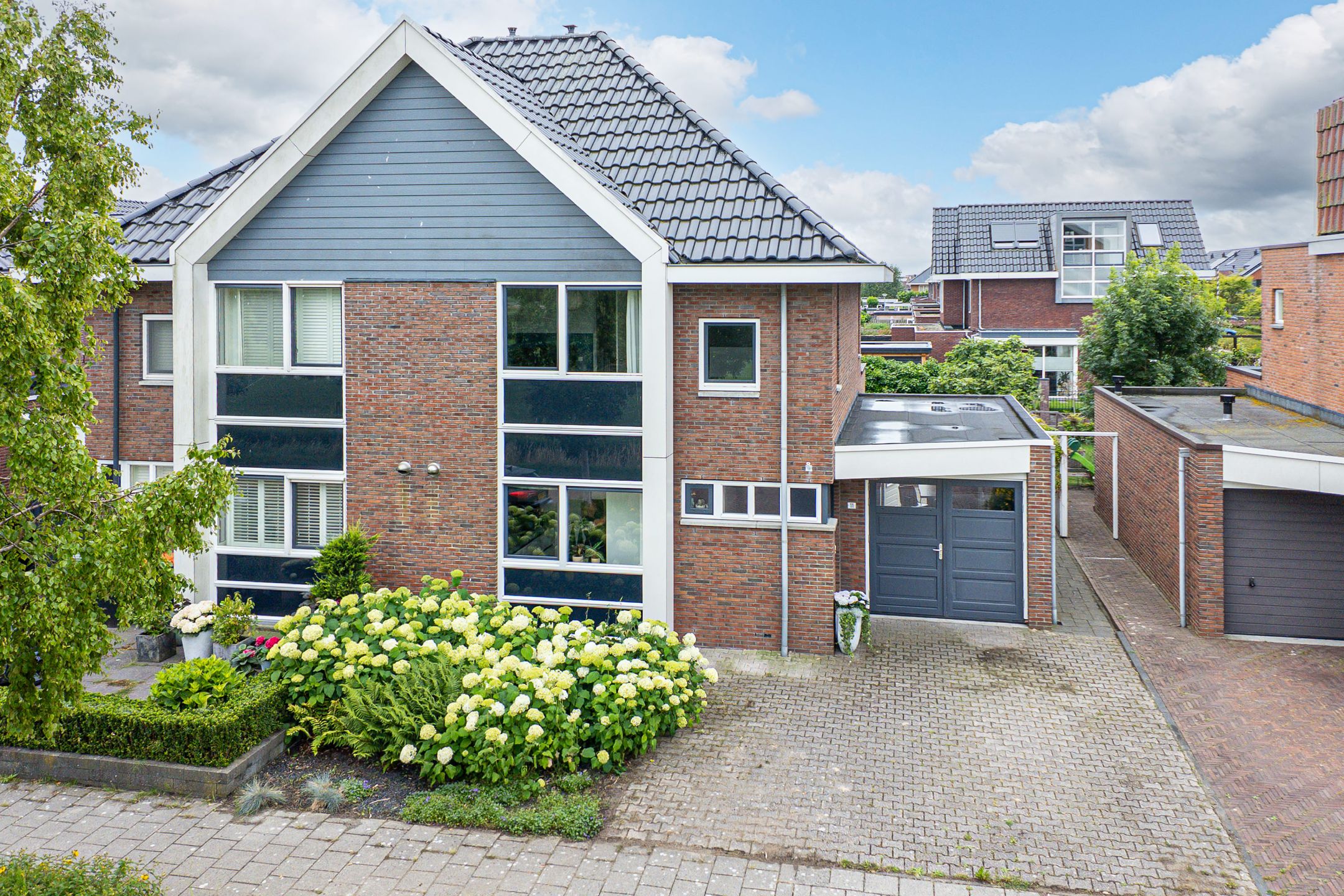 Foto 33 van Citroengras 11