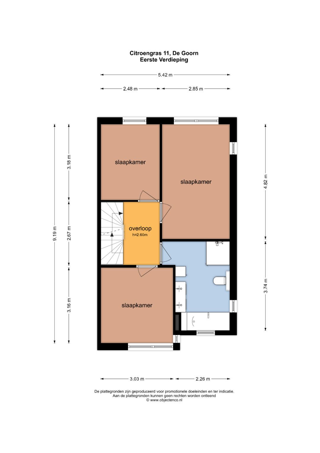 Foto 36 van Citroengras 11
