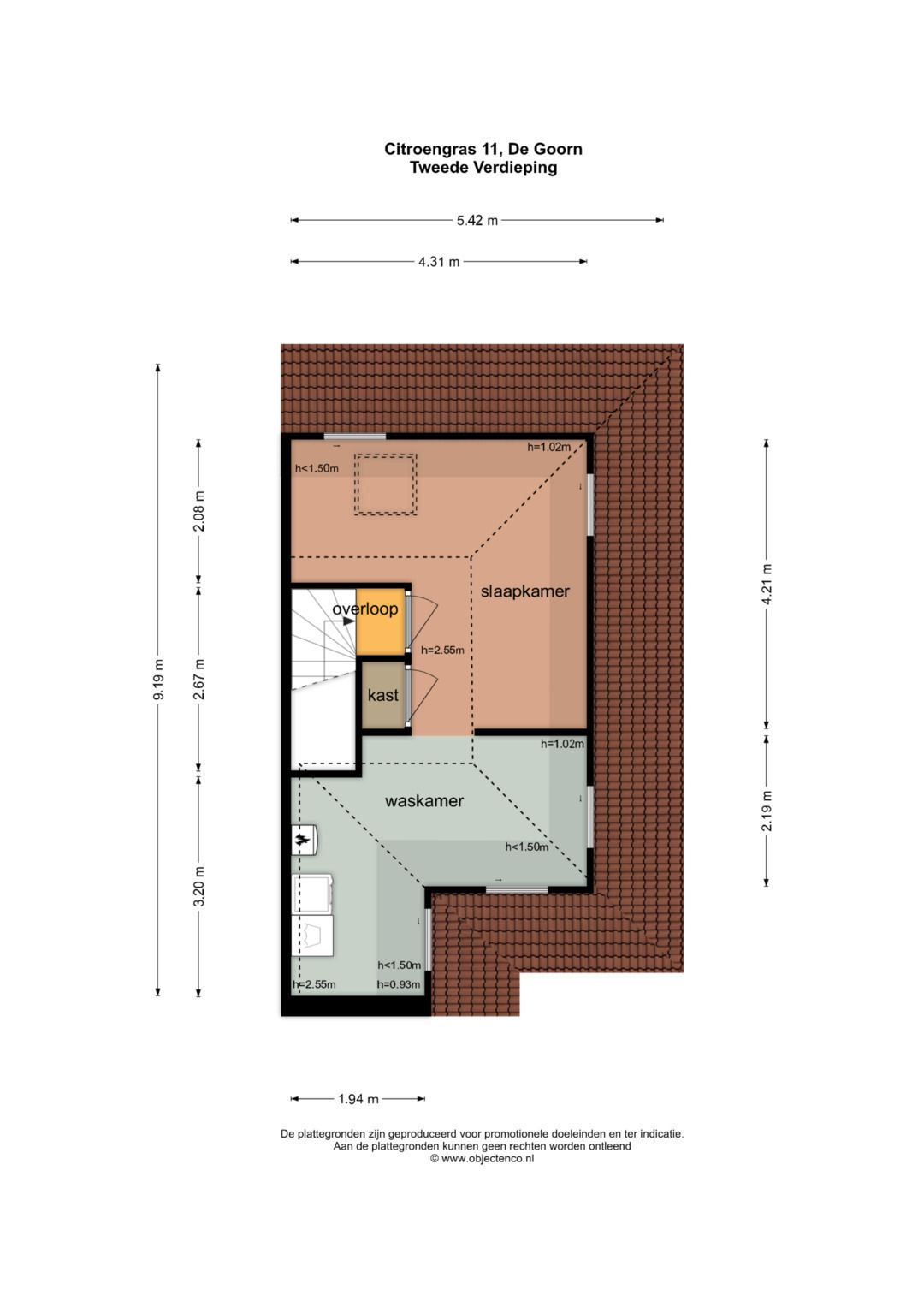 Foto 38 van Citroengras 11
