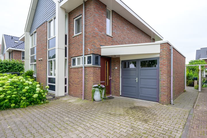 Foto 4 van Citroengras 11