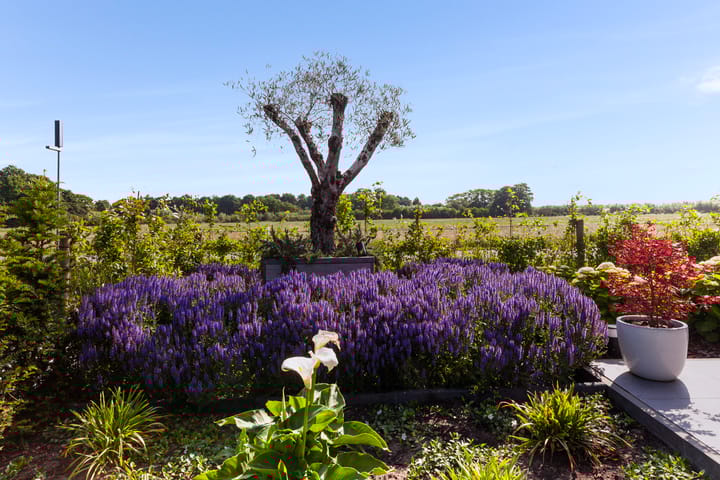 Foto 61 van Achtkanter 22