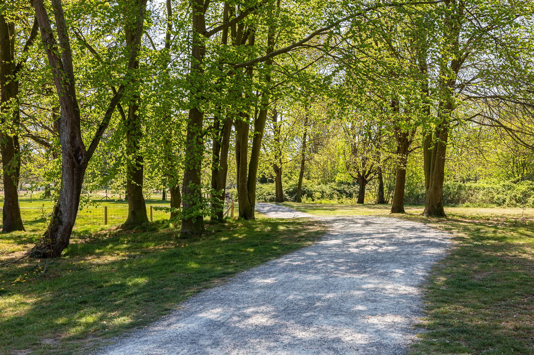 Foto 21 van Maasstraat 29