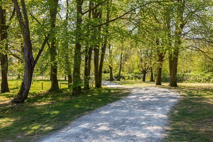 Foto 21 van Maasstraat 29