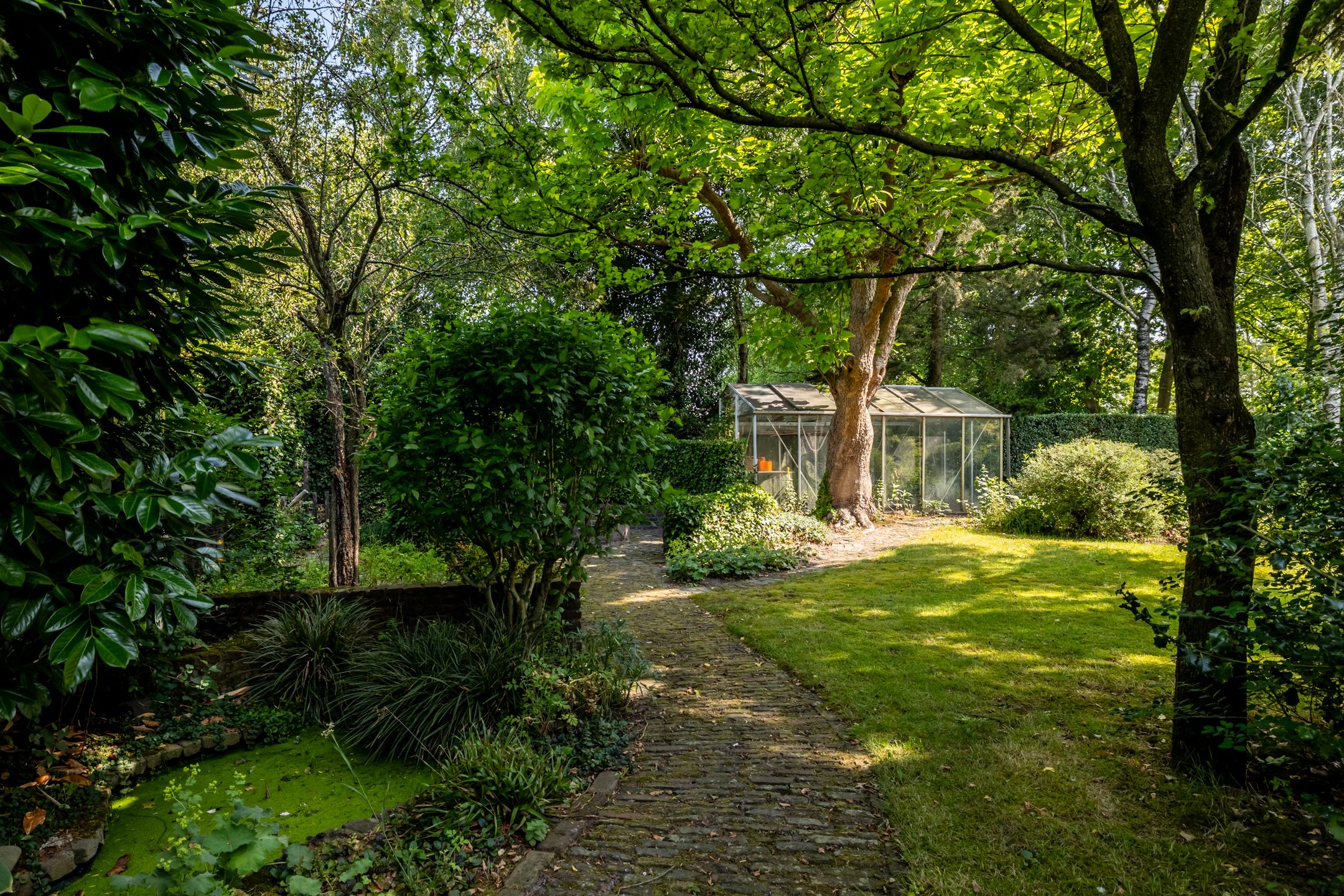 Foto 36 van Cauwelaerseweg 3-B