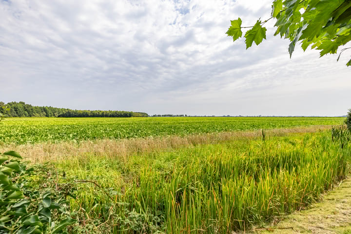 Foto 25 van Dorpsstraat 60