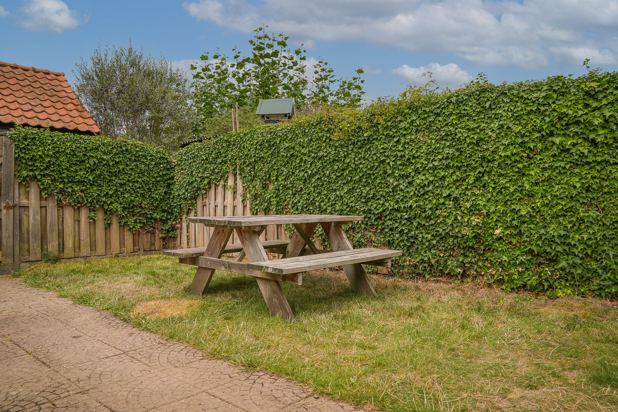 Photo 24 of Adriaan van Alkmaarstraat 3