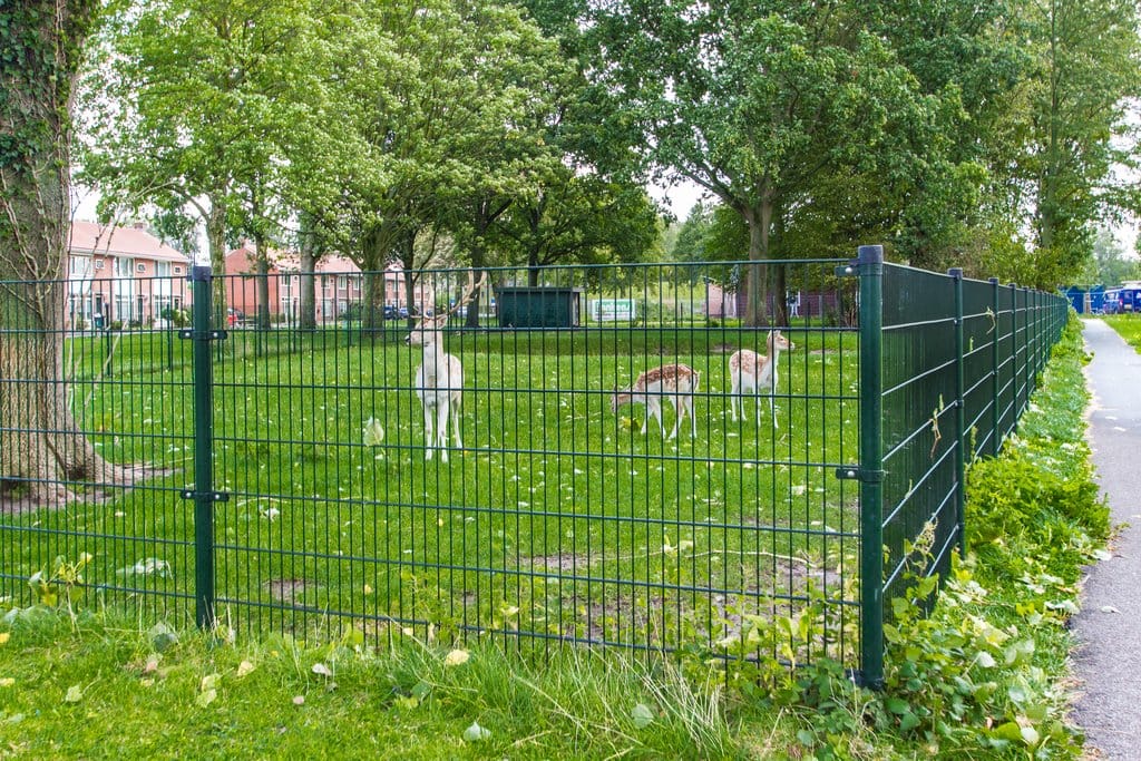 Photo 28 of Adriaan van Alkmaarstraat 3