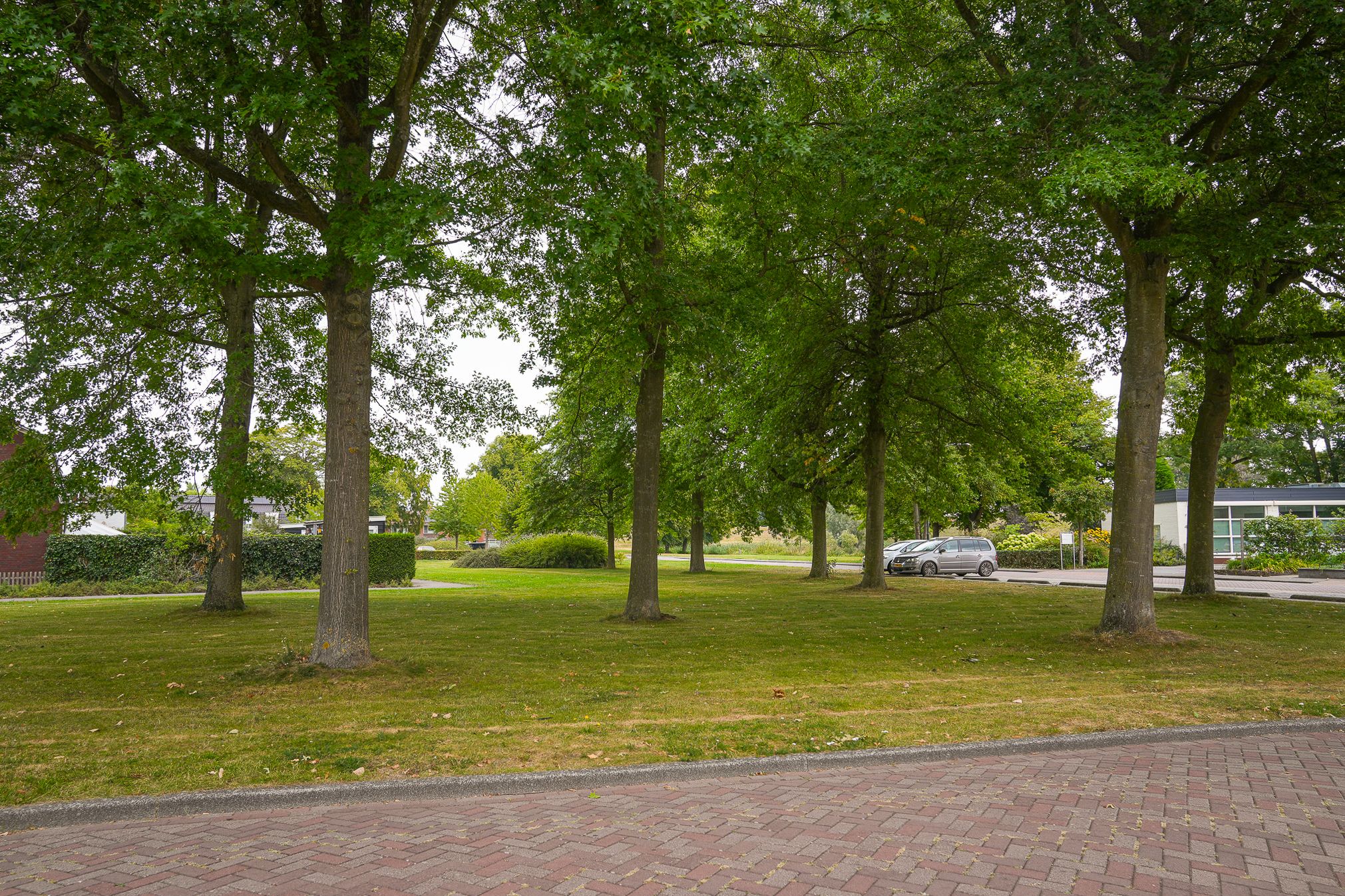 Photo 30 of Adriaan van Alkmaarstraat 3