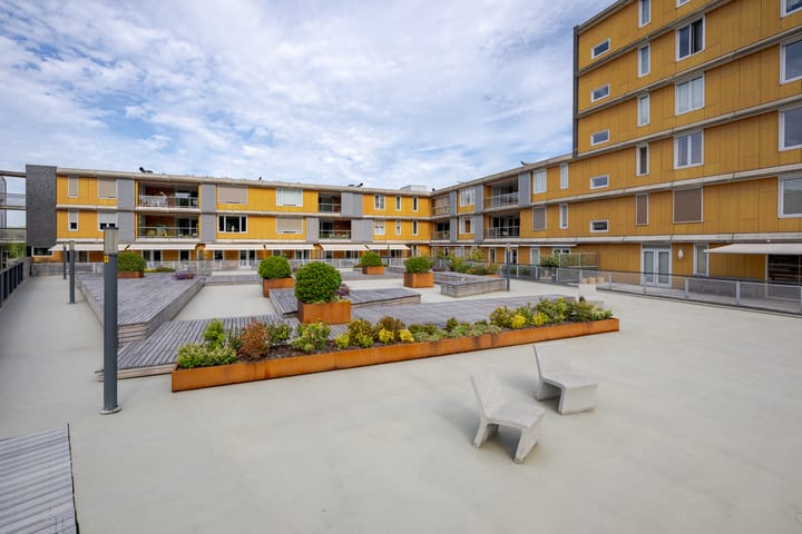 Foto 43 van Hofvliet 23