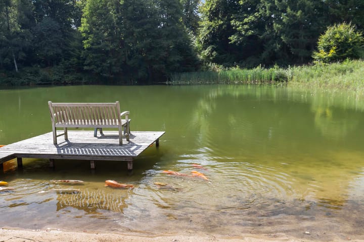 Foto 69 van Elspeterweg 18