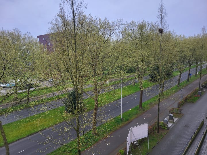 Photo 6 of Wadestein 70