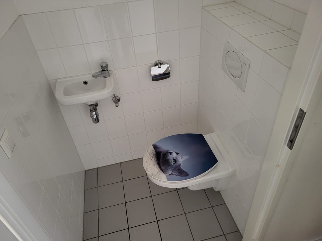 Photo 13 of Wadestein 70