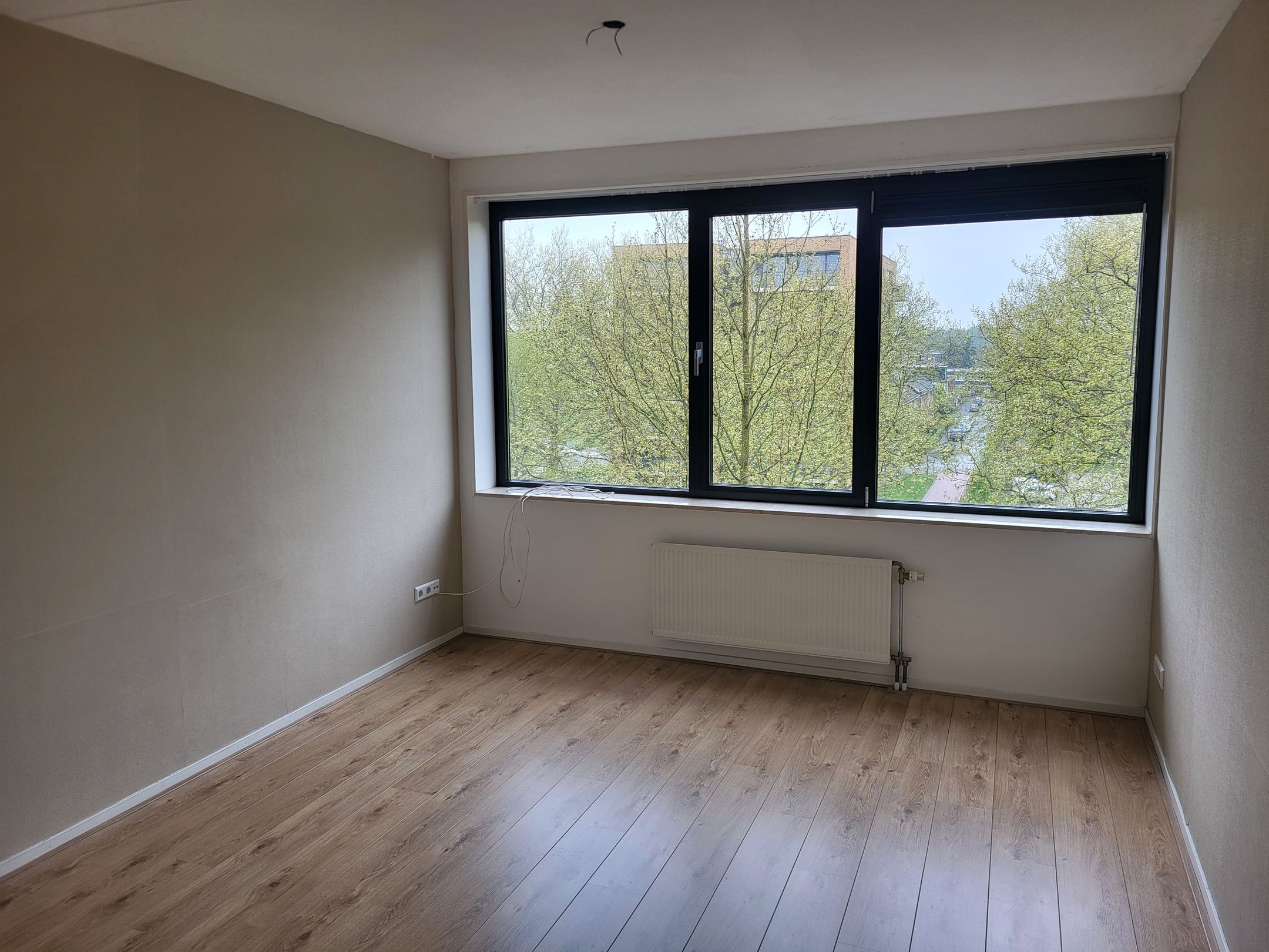 Photo 15 of Wadestein 70