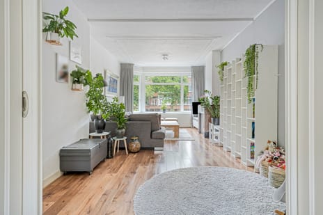 De Savornin Lohmanlaan thumbnail