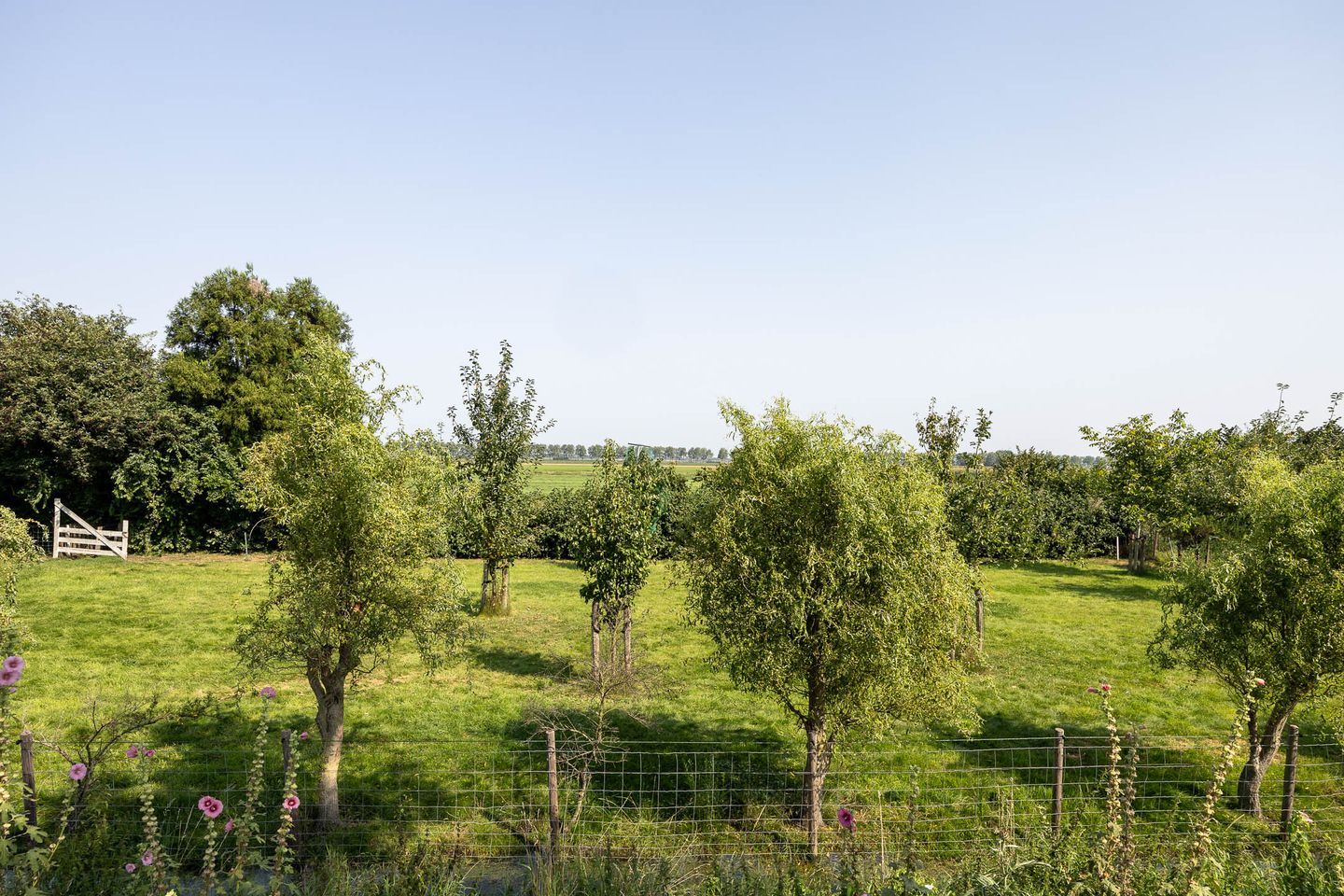 Foto 34 van Jeltje de Bosch Kemperstraat 213