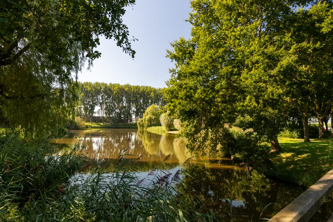 Foto 37 van Jeltje de Bosch Kemperstraat 213