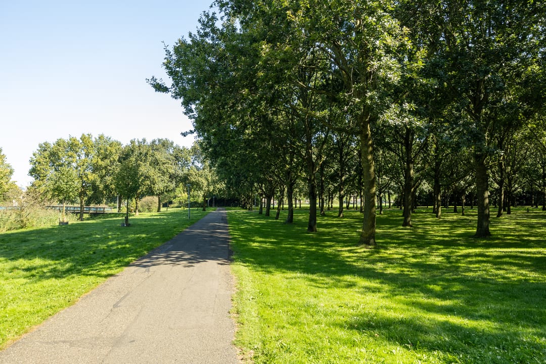 Foto 38 van Jeltje de Bosch Kemperstraat 213