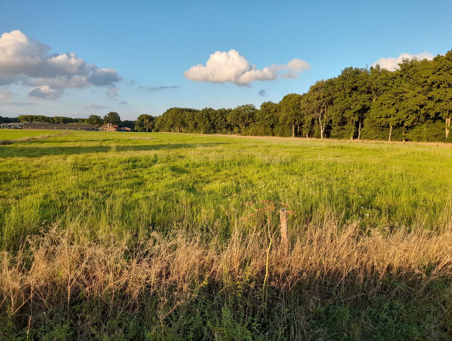View photo 4 of Schoenlapperweg 4