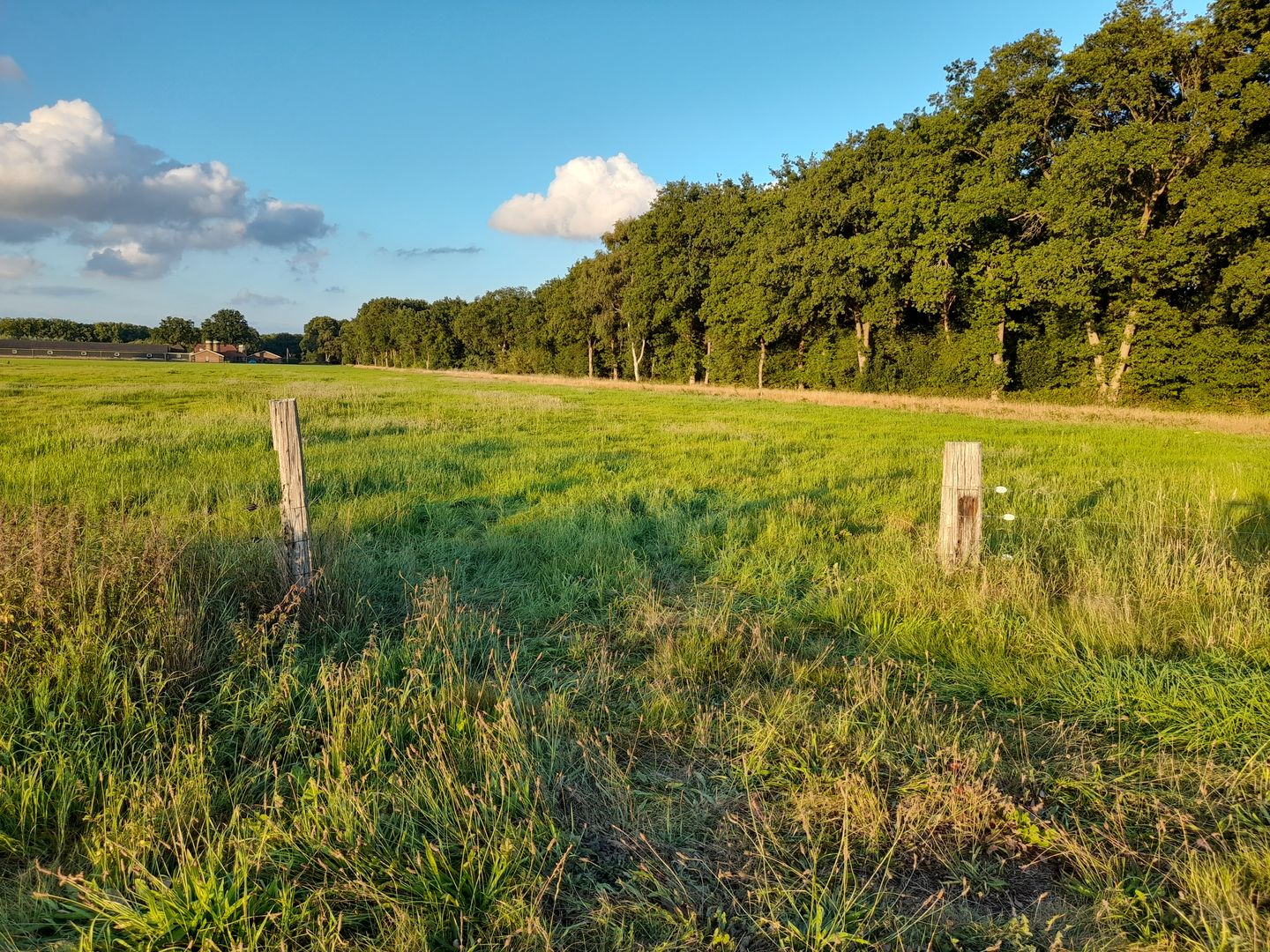 View photo 3 of Schoenlapperweg 4