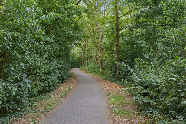 Foto 35 van Valeriusstraat 11