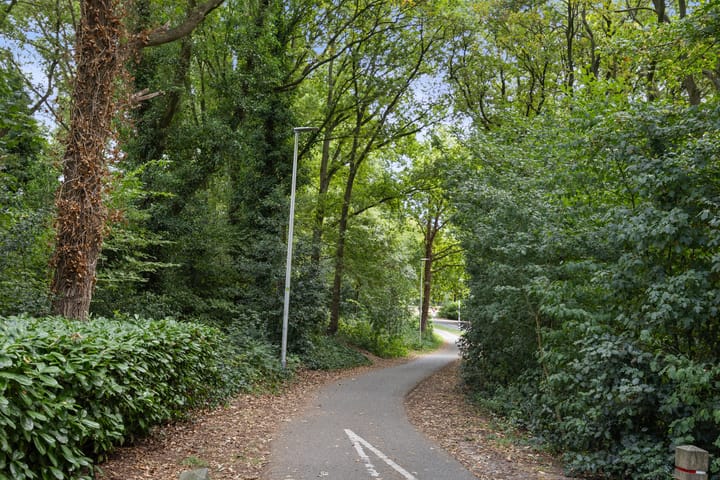 Foto 36 van Valeriusstraat 11