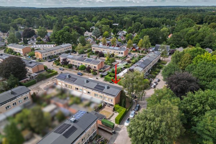 Photo 38 of Vanenburg 1