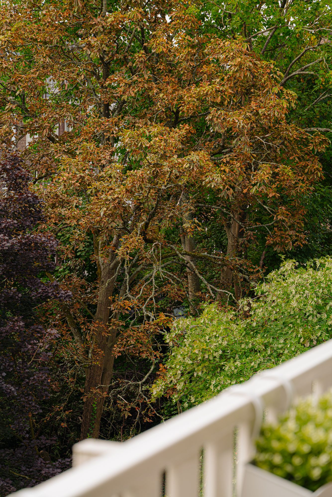 Photo 29 of Tweede Jan van der Heijdenstraat 92-3