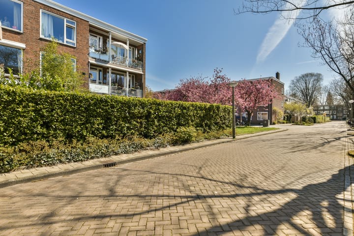 Foto 4 van Lamarckhof 7-1