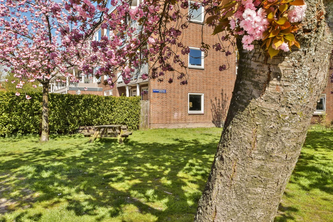 Photo 26 of Lamarckhof 7-1