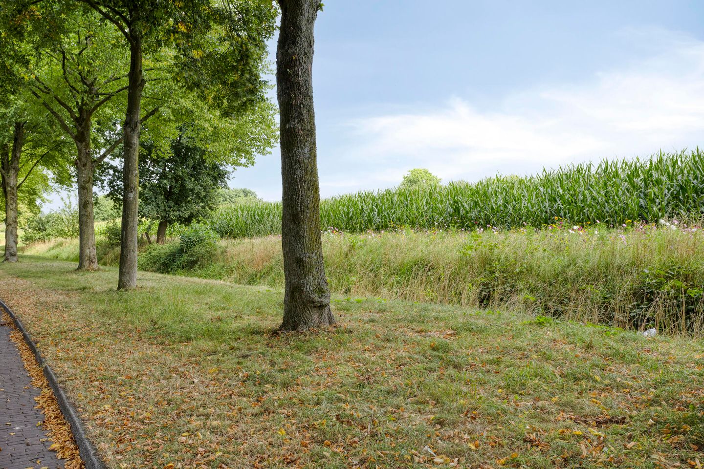 Photo 40 of Toernooistraat 7