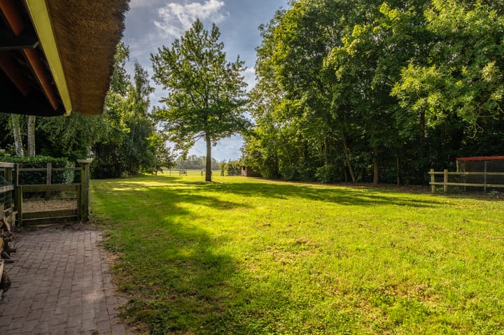 Foto 20 van Hoofdweg 262