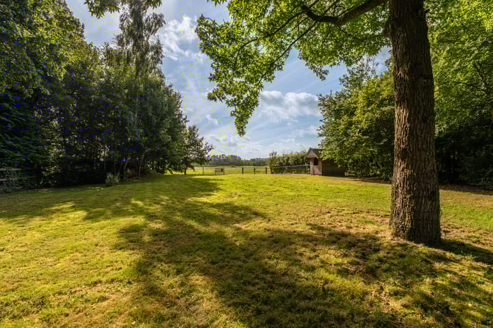 Foto 21 van Hoofdweg 262