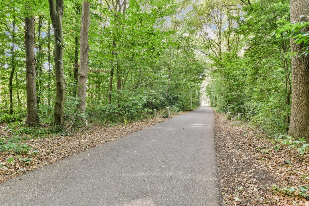 Foto 31 van van den Woudestraat 28